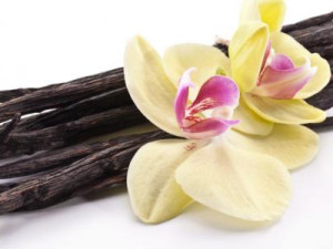 أهم فوائد أعواد الفانيليا واستخداماتها