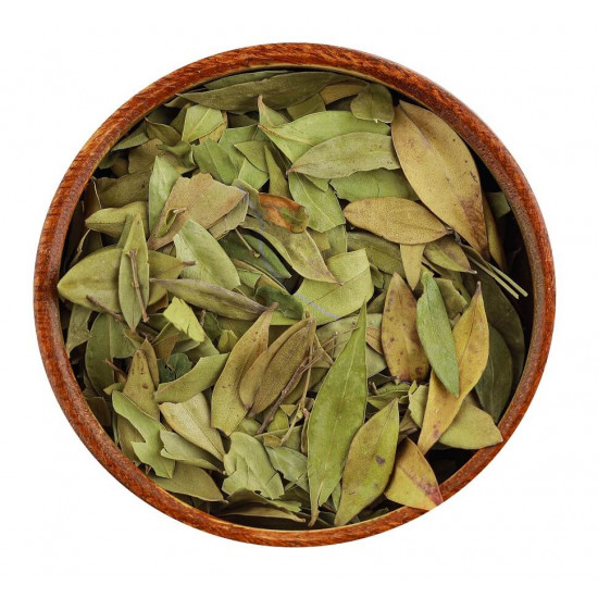 ورق الاس ورق الاس