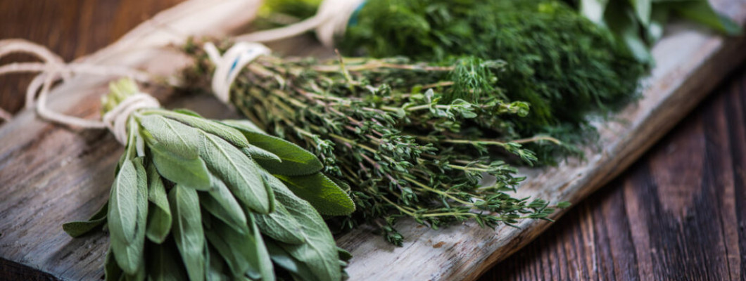 أهم أنواع الأعشاب الطبية أهم أنواع الأعشاب الطبية