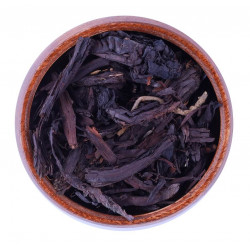 عشبة خوا جوا عشبة خوا جوا
