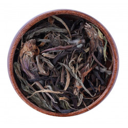 ورق لسان الحمل