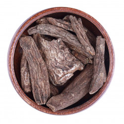 قسط هندي قسط هندي