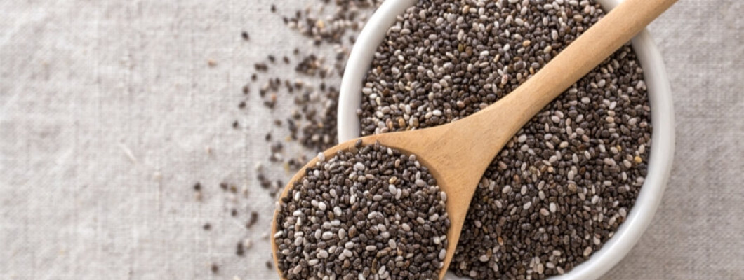 فوائد بذور الشيا واستخداماتها فوائد بذور الشيا واستخداماتها