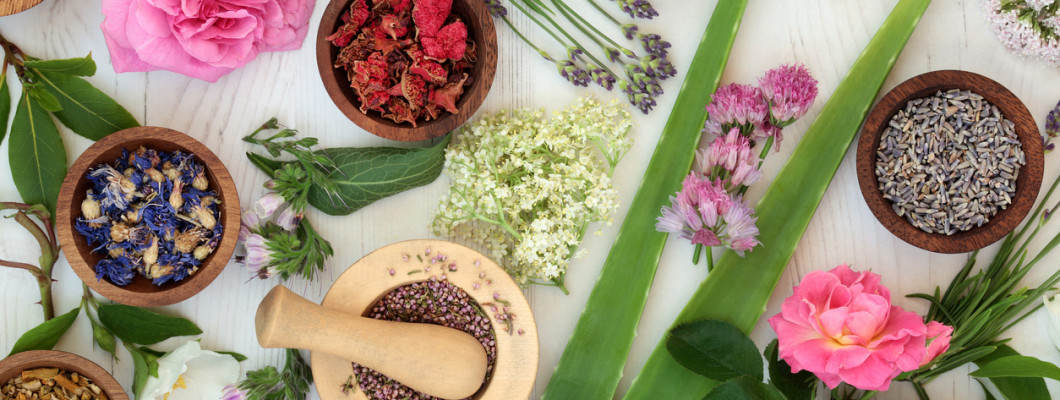 أهم الأعشاب المفيدة للبشرة أهم الأعشاب المفيدة للبشرة