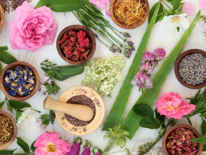 أهم الأعشاب المفيدة للبشرة أهم الأعشاب المفيدة للبشرة