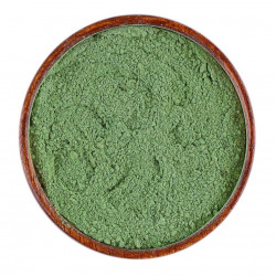 سدر المدينة المنورة العضوي