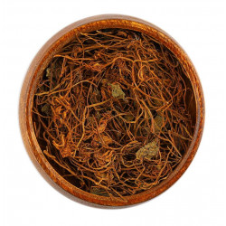 عشبة براهمي عشبة براهمي