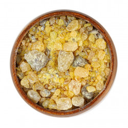 سندروس سندروس