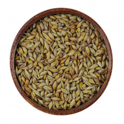 شعير محمص عضوي