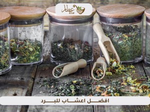 تعرف على افضل اعشاب للبرد تعرف على افضل اعشاب للبرد
