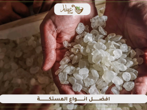 تعرف على افضل انواع المستكة تعرف على افضل انواع المستكة