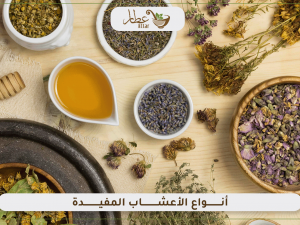 تعرف على أفضل أنواع الأعشاب المفيدة الطبية وغيرها تعرف على أفضل أنواع الأعشاب المفيدة الطبية وغيرها