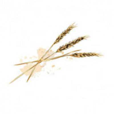 الحبوب والبقوليات