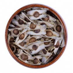 بذور المورينجا العضوية بذور المورينجا العضوية