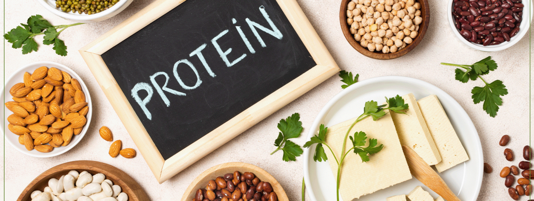 تعرف على افضل انواع البروتين للجسم تعرف على افضل انواع البروتين للجسم