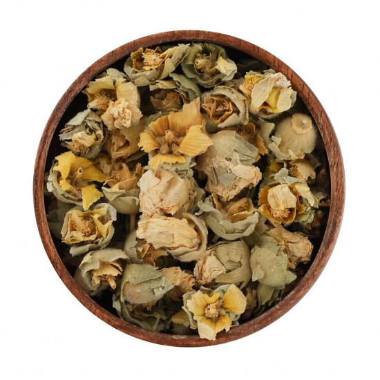 زهرة الخطمية زهرة الخطمية