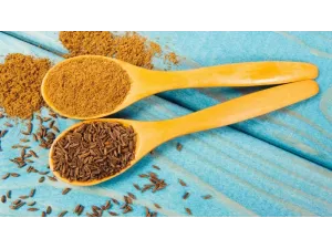 مقارنة بين أنواع الكمون: كيف تختار النوع المناسب لاحتياجاتك مقارنة بين أنواع الكمون: كيف تختار النوع المناسب لاحتياجاتك