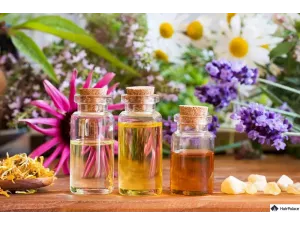 ما هي أهم الزيوت الطبيعية وأكبر فوائدها؟ ما هي أهم الزيوت الطبيعية وأكبر فوائدها؟