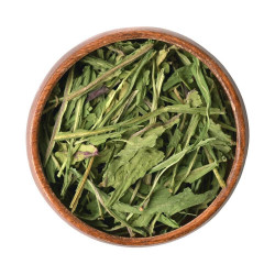 ورق هندباء عضوي مجفف ورق هندباء عضوي مجفف