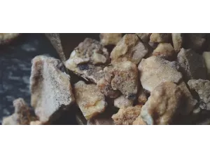 اكتشف فوائد الجاوي الأحمر الآن: الفوائد الصحية والعطر الفريد اكتشف فوائد الجاوي الأحمر الآن: الفوائد الصحية والعطر الفريد