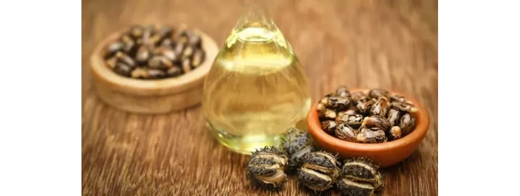 كيف تساعد فوائد زيت الخروع في تقليل التجاعيد والهالات السوداء؟ كيف تساعد فوائد زيت الخروع في تقليل التجاعيد والهالات السوداء؟