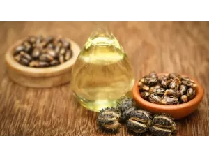 كيف تساعد فوائد زيت الخروع في تقليل التجاعيد والهالات السوداء؟ كيف تساعد فوائد زيت الخروع في تقليل التجاعيد والهالات السوداء؟