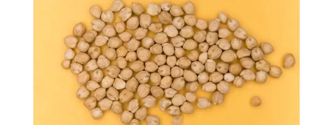 ما هي بذور الاكبي؟ اكتشف الكنوز الصحية في هذه البذور الأفريقية ما هي بذور الاكبي؟ اكتشف الكنوز الصحية في هذه البذور الأفريقية