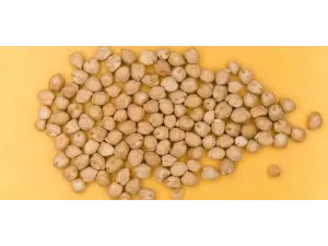 ما هي بذور الاكبي؟ اكتشف الكنوز الصحية في هذه البذور الأفريقية ما هي بذور الاكبي؟ اكتشف الكنوز الصحية في هذه البذور الأفريقية