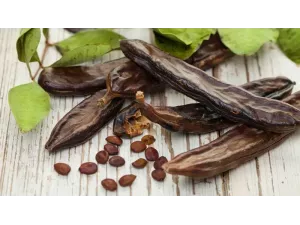 تعرف على دور الخوا جوا في تعزيز المناعة والوقاية من الأمراض تعرف على دور الخوا جوا في تعزيز المناعة والوقاية من الأمراض