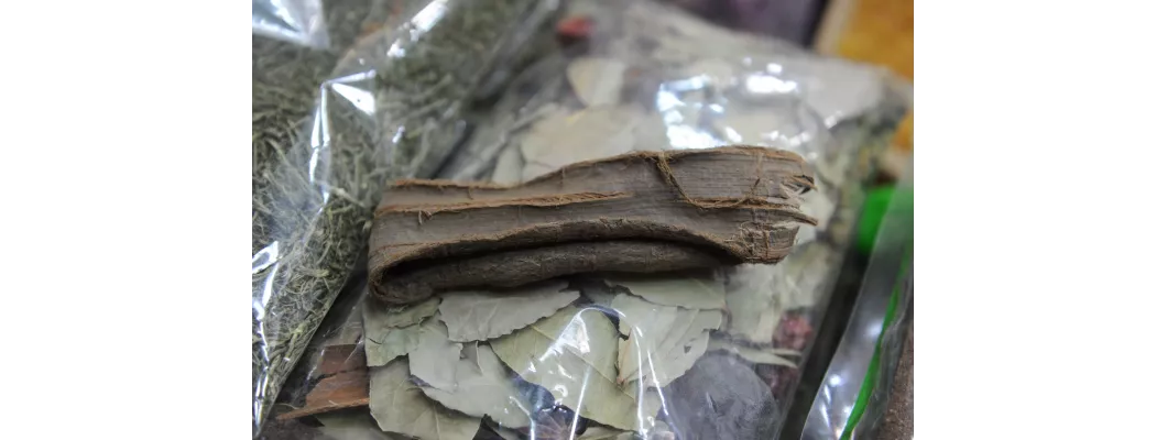 فوائد عشبة الديرم: دعم الطاقة والكبد وتاثيرها الهرموني فوائد عشبة الديرم: دعم الطاقة والكبد وتاثيرها الهرموني