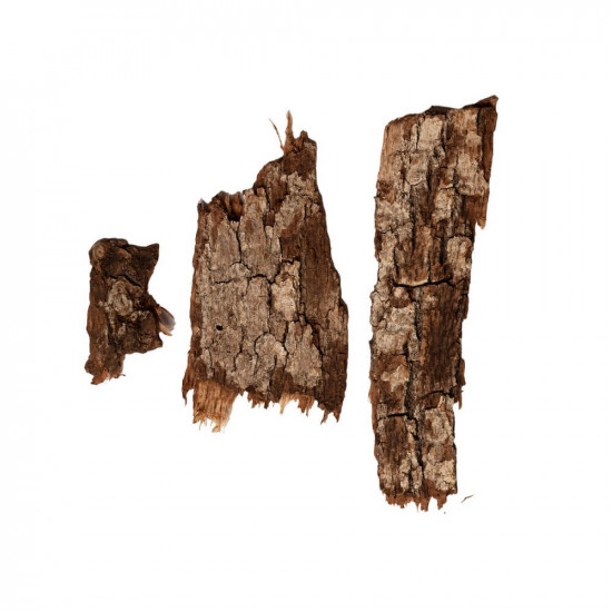 لحاء البلوط لحاء البلوط