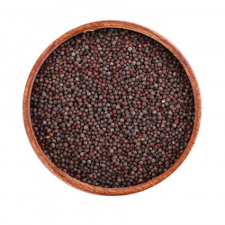 بذور خردل أسود بذور خردل أسود