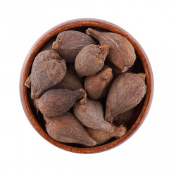 هيل حبشي هيل حبشي