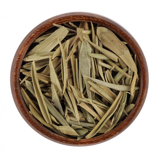 ورق الزيتون ورق الزيتون