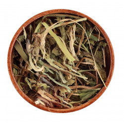 ورق هندباء (50 جرام) ورق هندباء (50 جرام)