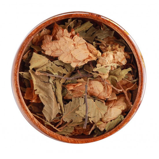 عشبة الدينار عشبة الدينار