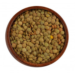 عدس أخضر عدس أخضر