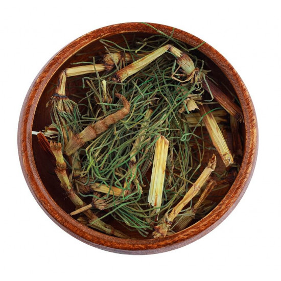 ذيل الحصان ذيل الحصان