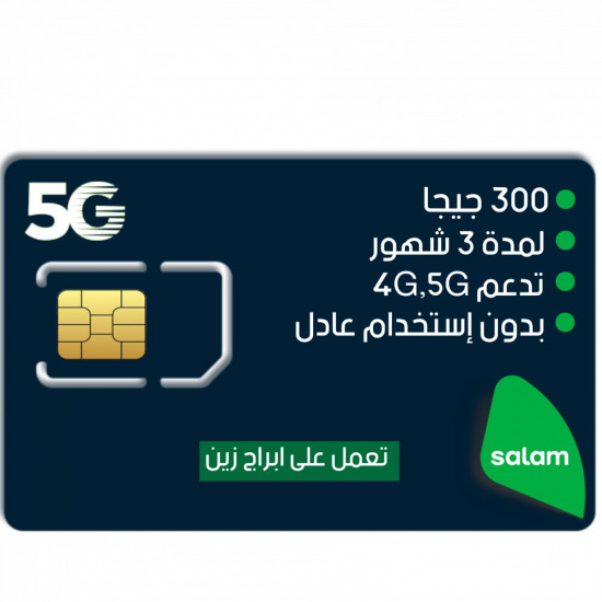 شريحة بيانات سلام 300 جيجا | 3 شهور