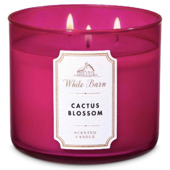 ‏CACTUS BLOSSOM شمعه معطرة بثلاث فتلات