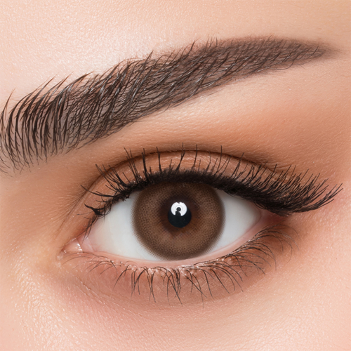 عدسات ملونة من افل - عود عدسات ملونة من افل - عود