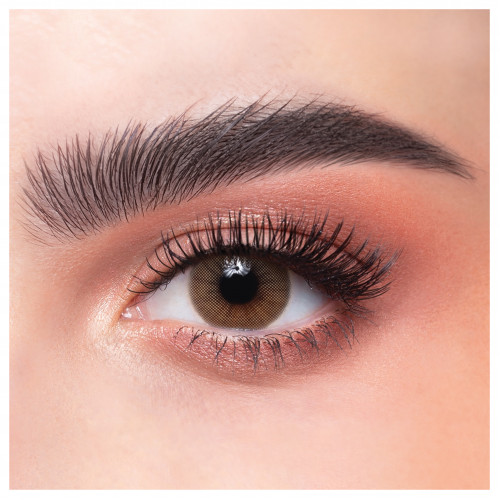 عدسات ذهب اليومية 21 كراميل