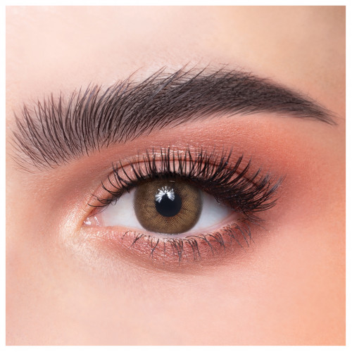 عدسات ذهب اليومية 41 كاف