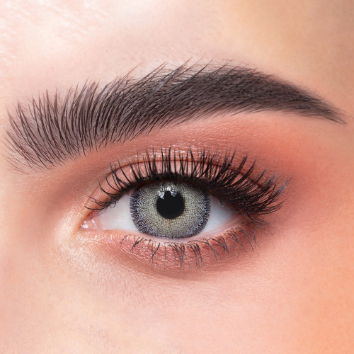 عدسات ذهب اليومية 3 لوميير جراي