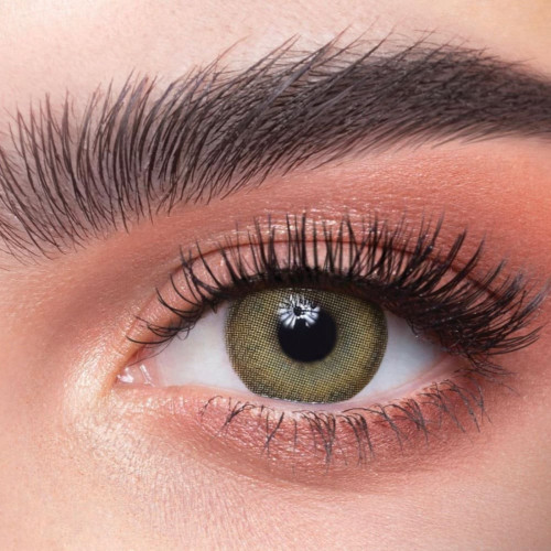 عدسات ذهب اليومية 44 اوليف 