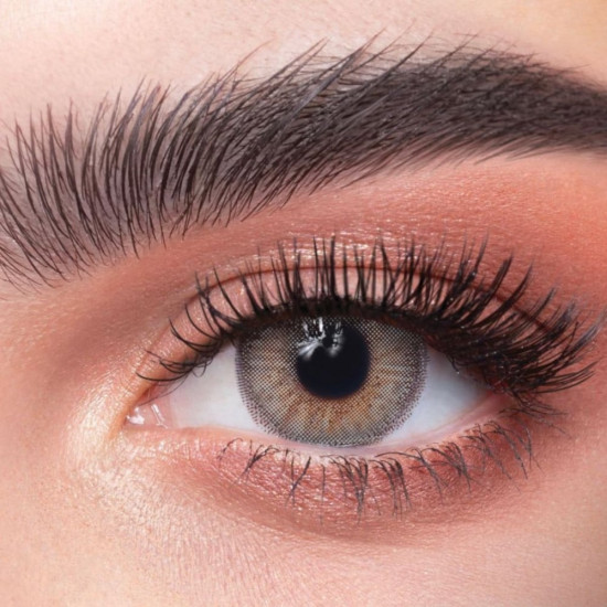 عدسات ذهب اليومية 24 بيرل