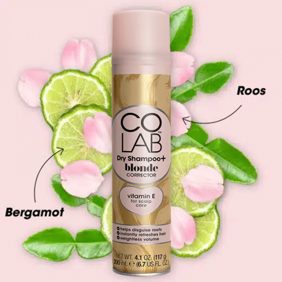 شامبو جاف مصحح للشعر الأشقر من كولاب 200 مل شامبو جاف مصحح للشعر الأشقر من كولاب 200 مل