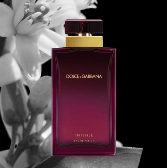 عطر انتنس من دولتشي اند جابانا للنساء - او دي بارفيوم 100مل عطر انتنس من دولتشي اند جابانا للنساء - او دي بارفيوم 100مل