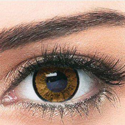 عدسات ملونة بيلا اليجانس – براون