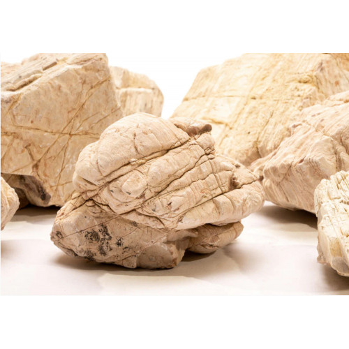 صخور الرمال المخططه - Sand Stone